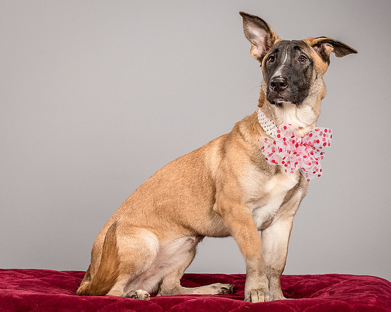 Foster Gabby-3962