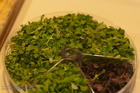 Piraneos60thCooking (182 of 393)