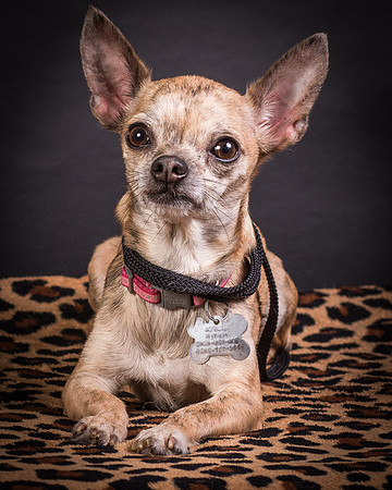 Foster Selina-1244