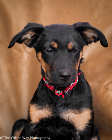 Foster Holister-9713