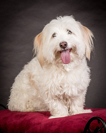 Foster Frosty-0575