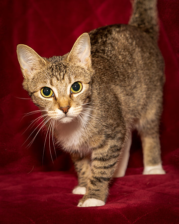 Foster Danni-9454
