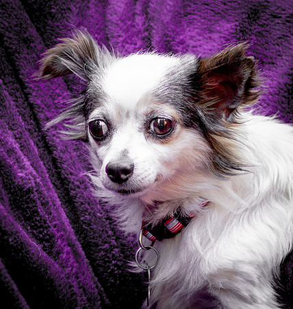 Foster Anouk-8804