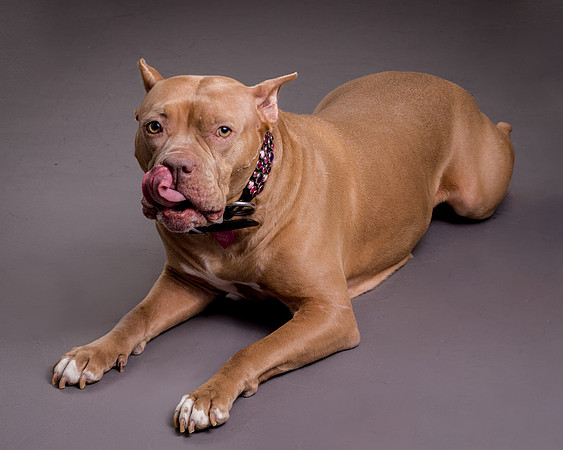 Maggie Griner-7516
