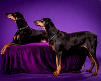 Ursa and Krecher Armstrong-2934