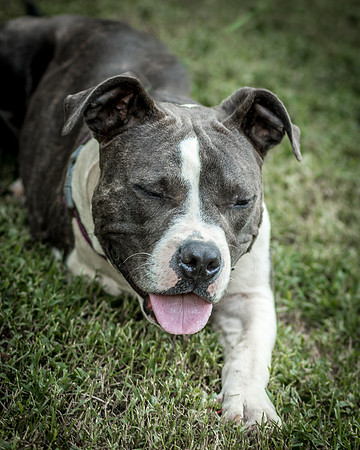 Foster Maya-0283