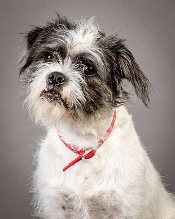 Foster Leeza-2676