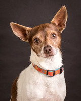 Foster Gus-0289