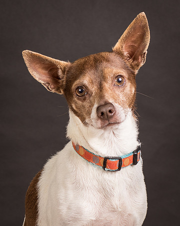 Foster Gus-0289