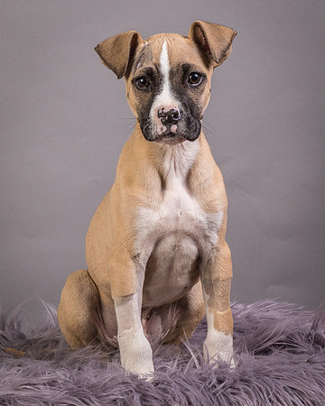 Foster Barnabas-4477