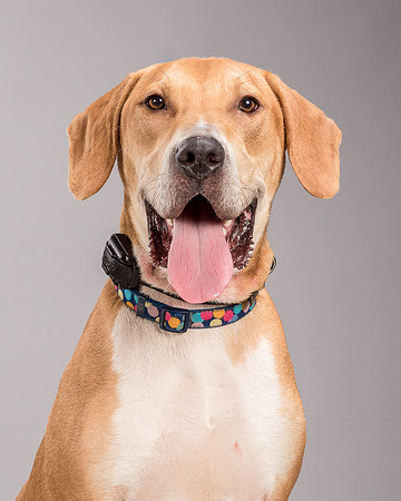 Foster Troy-6296