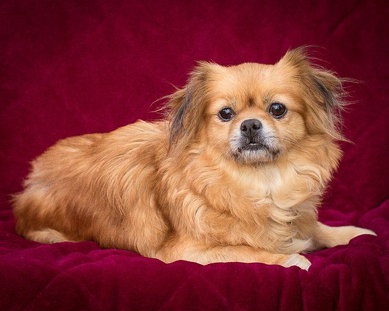 Foster Tia Maria-7939
