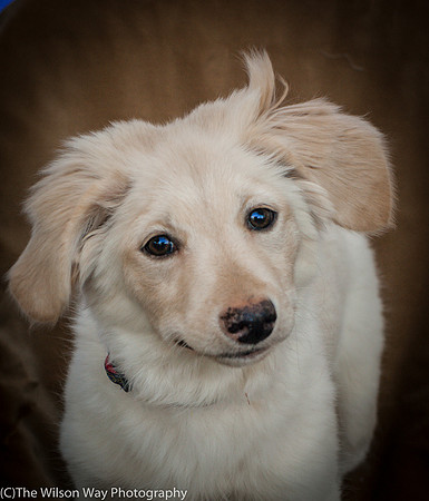 Foster Stephanie-9595
