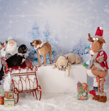 Toland-1759