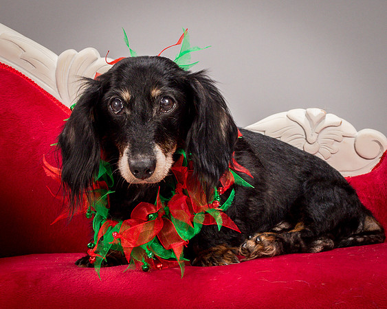 Foster Bernice-3777