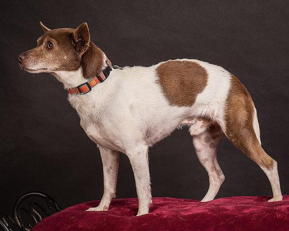 Foster Gus-0366