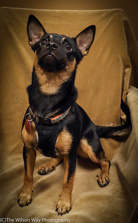 Foster Joni-0695