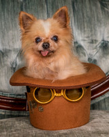 Foster Horace-0779
