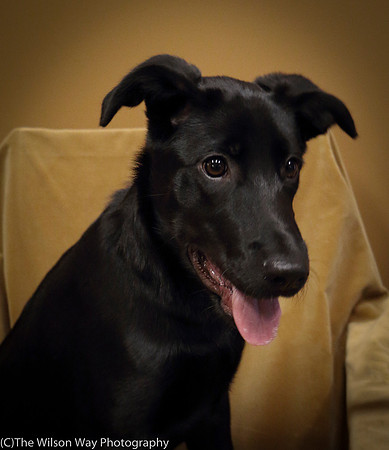 Foster Nadirah-0549