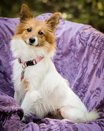 Foster Brandi-3256