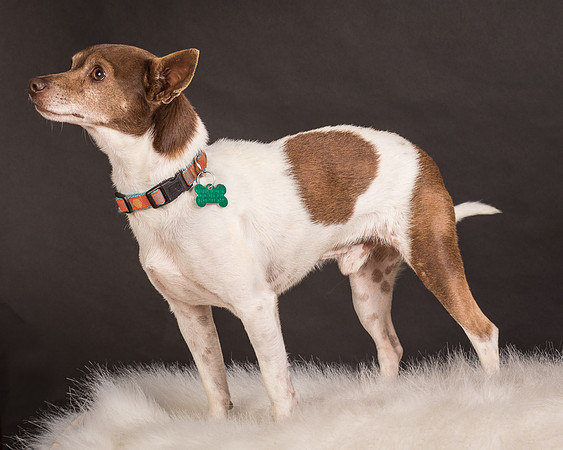 Foster Gus-0323