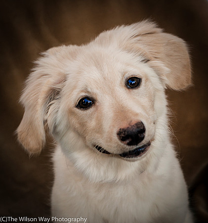 Foster Stephanie-9639