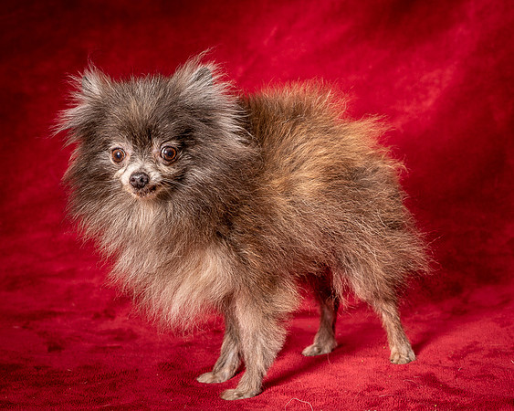 Foster Loretta-1370