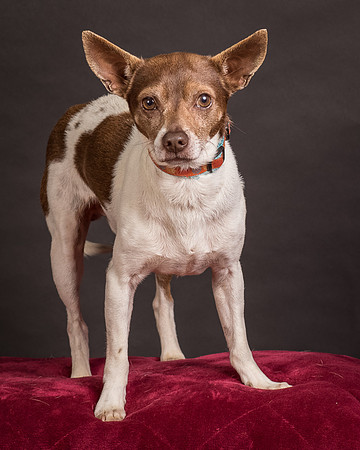 Foster Gus-0384