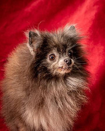 Foster Loretta-1376