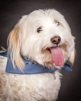 Foster Frosty-0556
