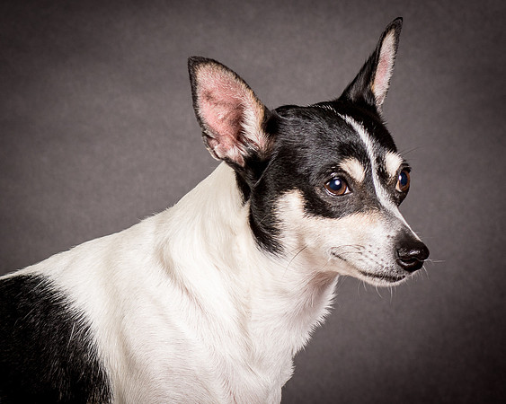 Foster Richa-0483
