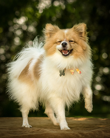 Foster Sydney-7602