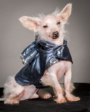 Foster Gobo-2939
