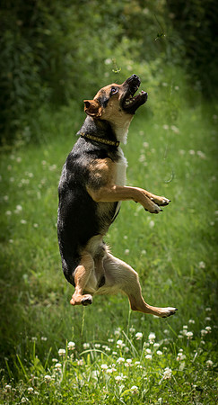 Foster Calvin-0973