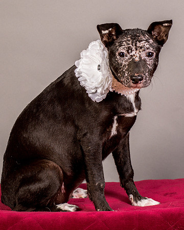 Foster Kendal-8793
