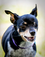 Foster Leela-7945
