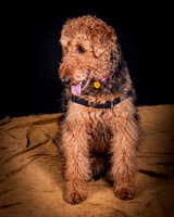 Dixie Lou-5644