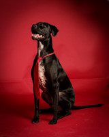 Vegas and Roddy-8482
