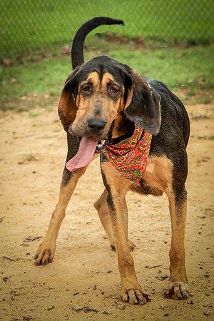 Jethro-0849