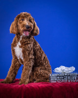 Fisher-Gryffin-8926