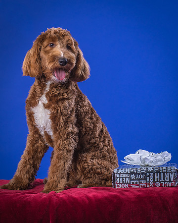 Fisher-Gryffin-8926