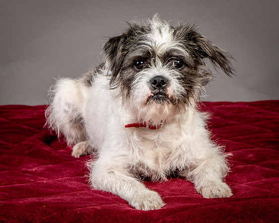 Foster Leeza-2698