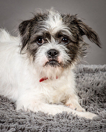 Foster Leeza-2626