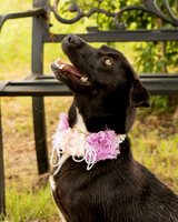 Darlington - Daisy-8713