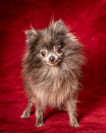 Foster Loretta-1349