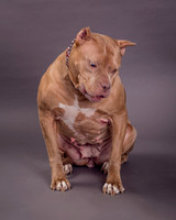 Maggie Griner-7534