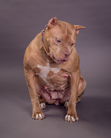 Maggie Griner-7534