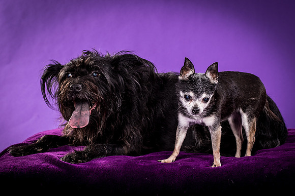 Naya And Rhumba-4751