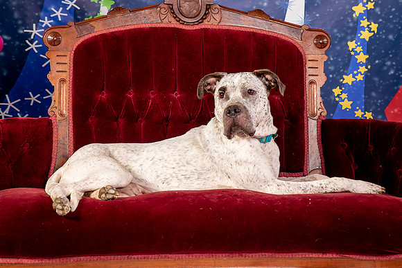 Foster Sylvester-0969