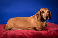 Abrams-Jimmy Dean-8205